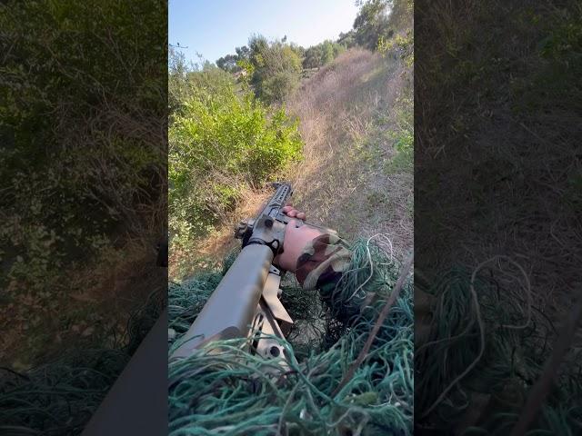 $300 vs $30 Ghillie Suit #airsoft #ghilliesuit #sniper #funny #ghillienotfound