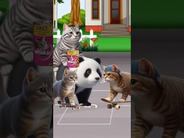 Cats and panda stole my whiskas #cat #funnycats  #trendingshorts #cutecat