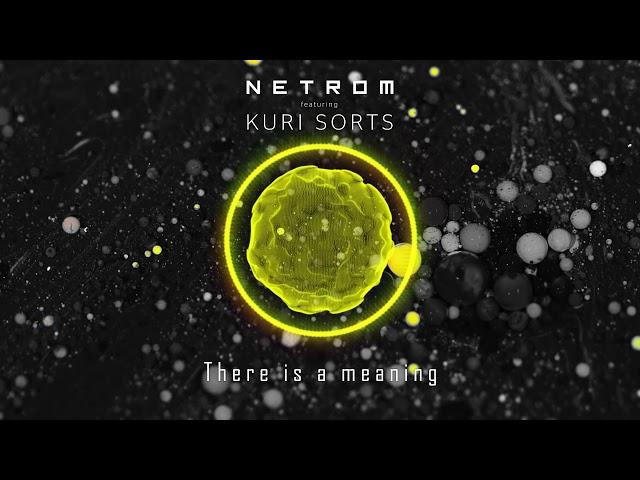 NETROM - There is a meaning (ft.  Kuri Sorts)