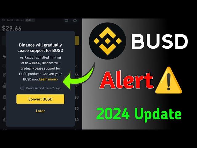 Binance BUSD Update 2024 | Delist Alart ️ Safe Your Funds