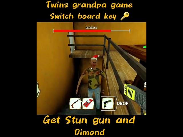 funny moments of the twins and granny #funnymoment #funnygranny #funnytwins #gaming