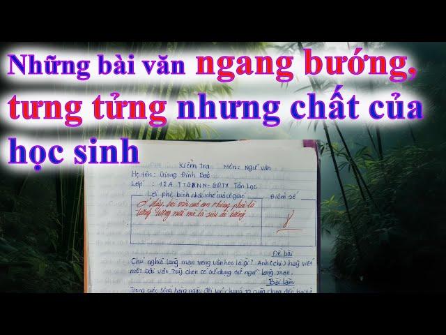 3 bài văn to gan làm cho thầy cô chướng tai ngứa mắt muốn đuổi học ngay #297