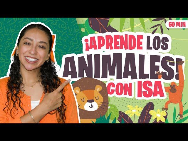 Aprende Peque con Isa - Los Animales para Niños Español- Palabras y Canciones