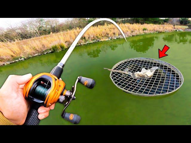 Fishing The BEST Bass Lake In The WORLD! (LOADED)