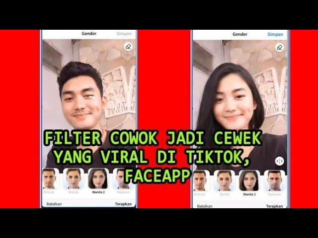 Filter IG Cowo Jadi Cewe Cantik yang Viral di Tiktok?