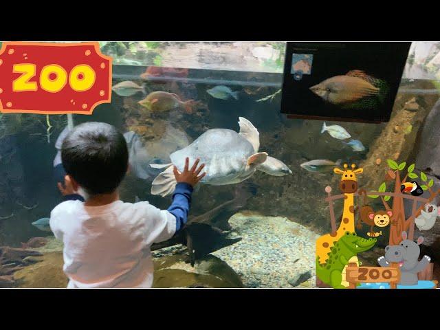 Jeremy Family Fun Trip to the Zoo| Animals Explorer