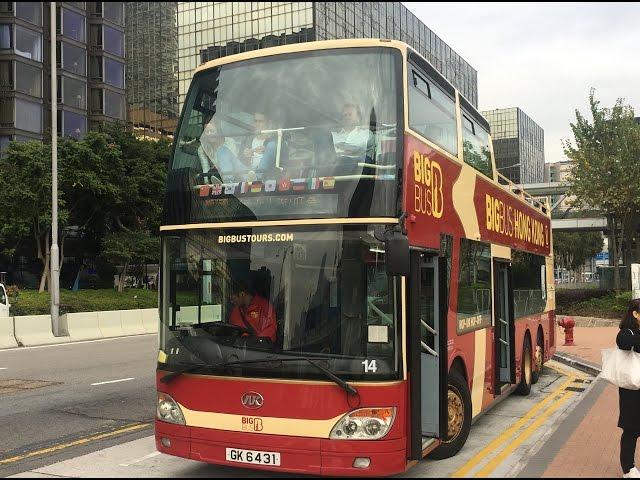 BIG BUS HONGKONG Blue Line【BIG BUS香港 藍線】