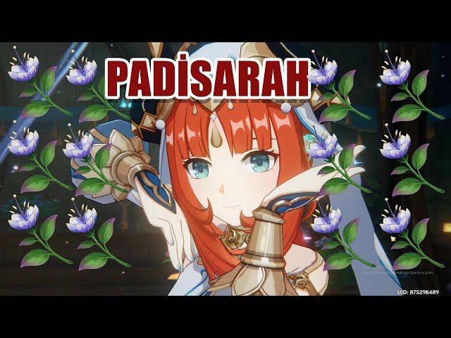 Padisarah Locations | Fast and Efficient Farming Route | Nilou Ascension Materials |【Genshin Impact】