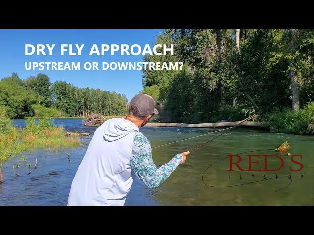 Are You Casting a Dry Fly Correctly? // Upstream vs. Downstream Casting Strategies