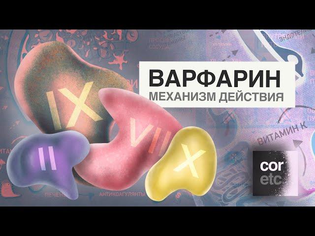 Как работает Варфарин? (механизм действия).