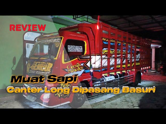 Truk Muat Sapi Di Pasang Klakson Basuri, Canter Long SiGembul ft Rebecca Concept