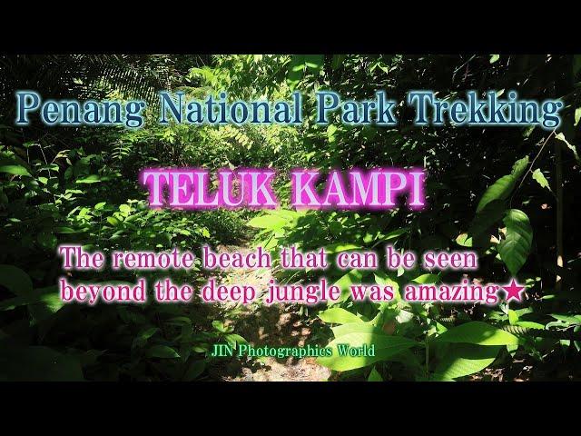 "Trekking in Penang National Park: Discovering the Hidden Paradise of Teluk Kampi"