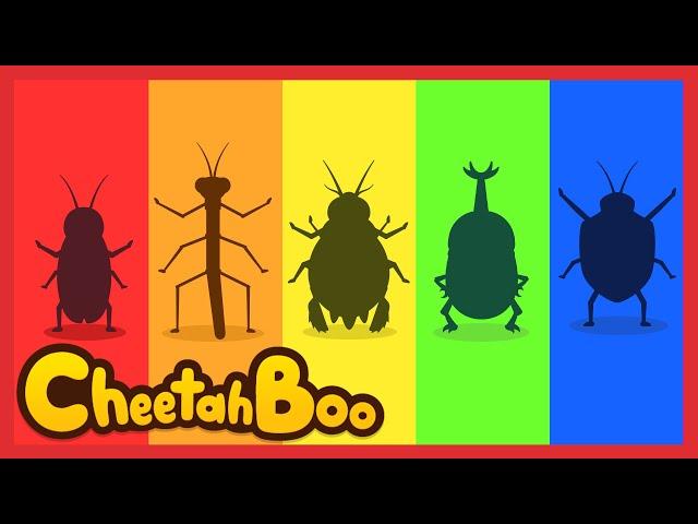 Guess which bugs are stinky  | Insect for kids | Nursery rhymes | Kids song | #Cheetahboo