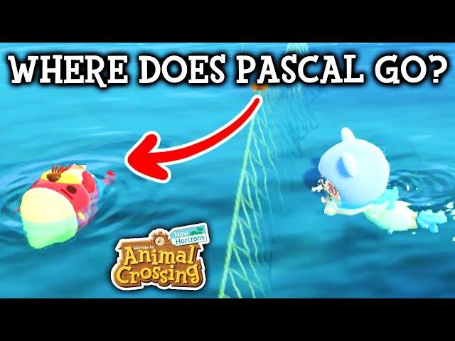 Following Pascal Past The Ocean Barrier | Animal Crossing New Horizons