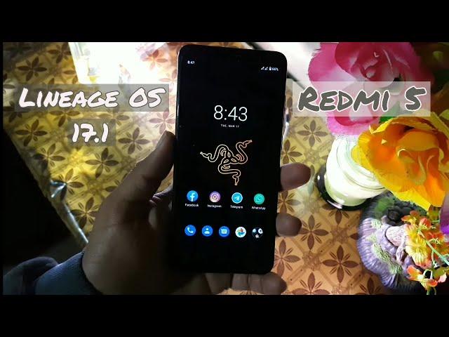 Install Lineage OS 17.1 On Redmi 5