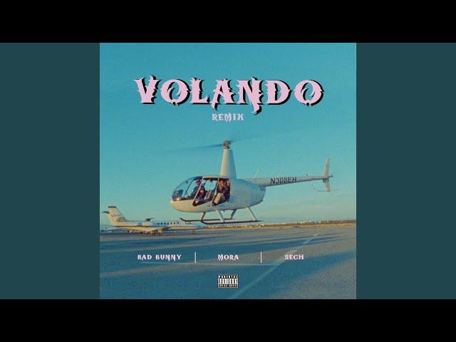 Volando (Remix)