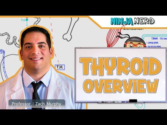 Endocrinology | Thyroid Overview