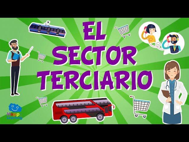 EL SECTOR TERCIARIO. El trabajo y su clasificación  | Vídeos Educativos para niños