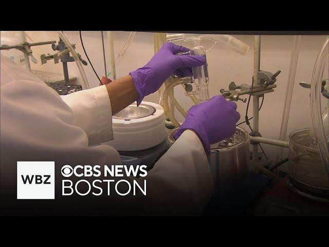 Funding cuts could lead to scientists leaving Massachusetts, governor says