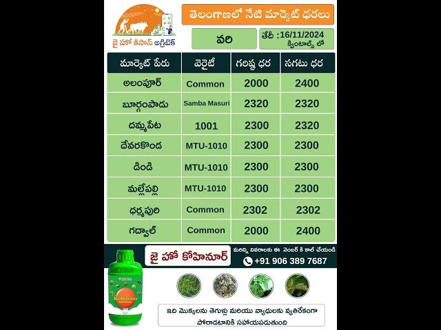 jhk market rate updates | Today Market Prices of Paddy(వరి) in telangana |   @JaiHoKisan