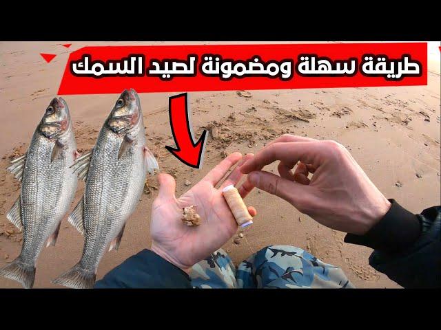 صيد أسماك الشاطئ . طريقة سهلة و مضمونة مع الحصيلة