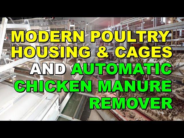 MODERN POULTRY HOUSING & CAGES AND AUTOMATIC CHICKEN MANURE REMOVER