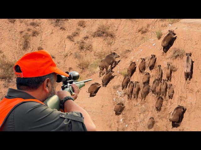 WILD BOAR INVASION: PERFECT HOG SHOTS, INCREDIBLE DRONE CHASE, TOP HUNTING SCENES