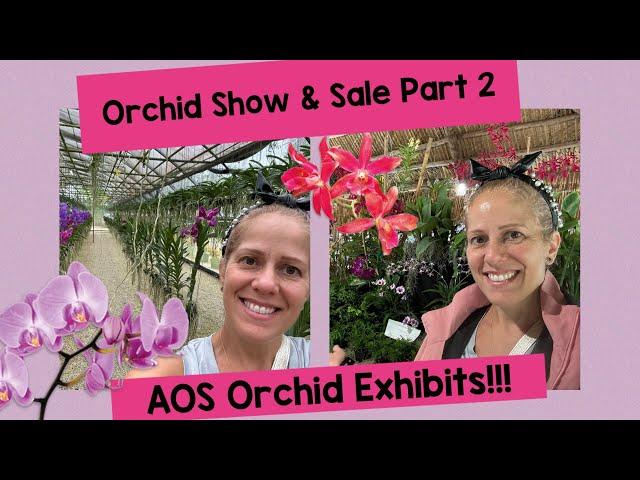 Orchid Show and Sale at RF Orchids- Awesome Vendors- AOS Awarded Exhibits!!