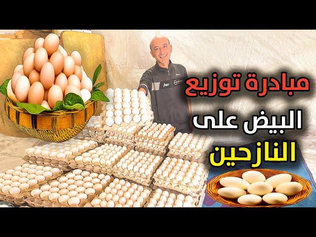 حملة توزيع البيض على النازحين في مخيمات غزة