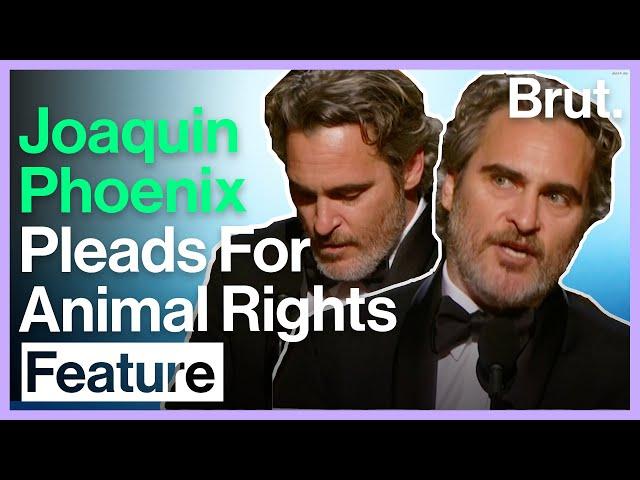 Joaquin Phoenix's Powerful Speech on the Environment and Animal rights