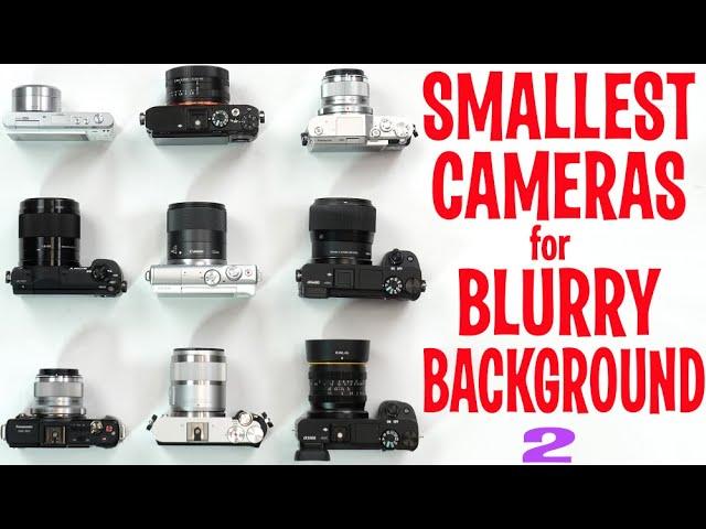 Smallest Interchangeable Lens Cameras for Blurry Background Bokeh 2