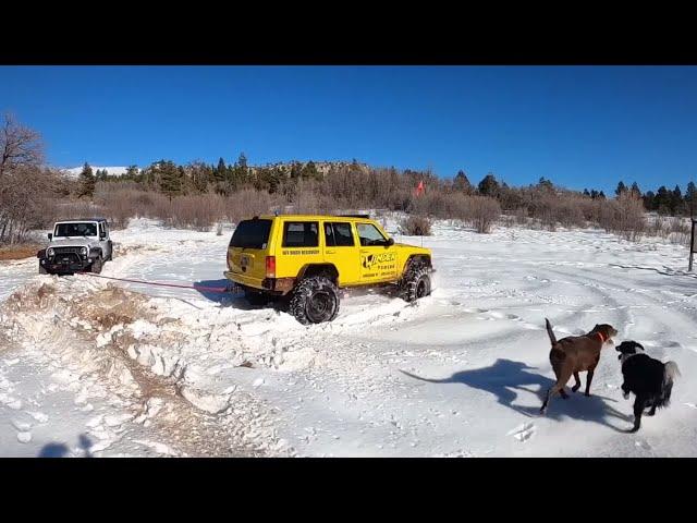 Jeep Wrangler Stuck! This Was Way Too Hard!￼