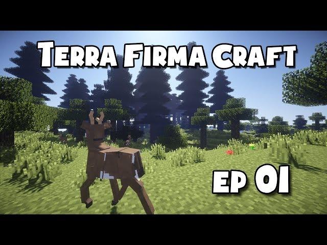 TerraFirmaCraft - #1 - Surviving The First Night