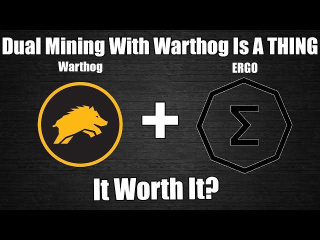 Dual Mining Warthog + ERGO Is Now A Thing!!  Worth It?