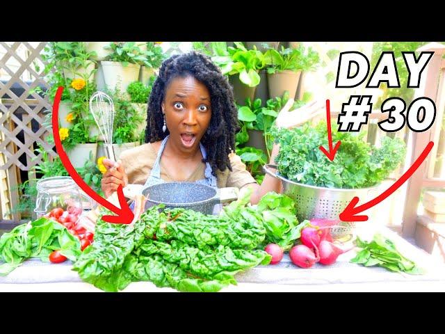 FAST FOOD from a Small GARDEN | 7 Meals from food grown in 30 Days