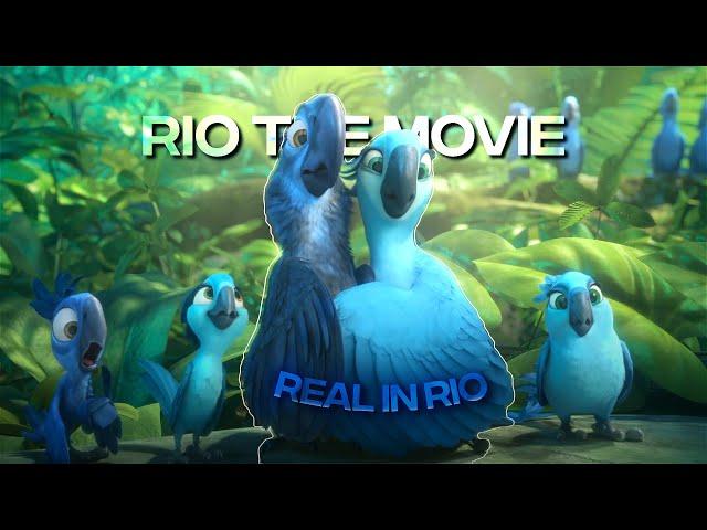 [4K] Rio「Edit」(Real in Rio)