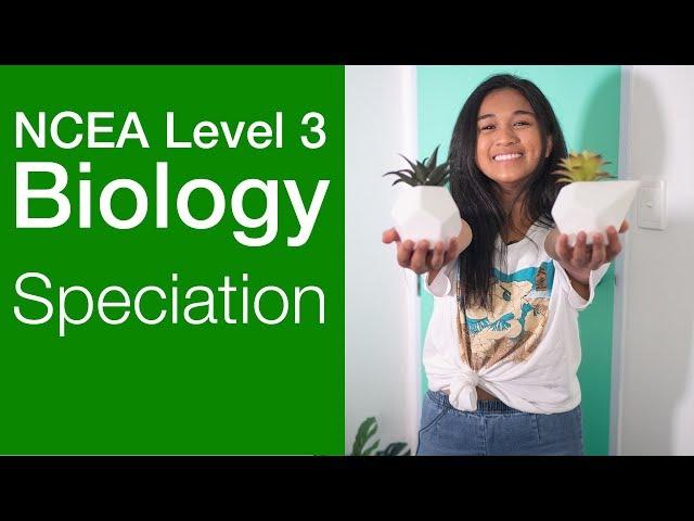 Speciation | NCEA Level 3 Biology Strategy Video | StudyTime NZ