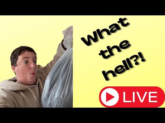 WHAT THE HELL?! LIVE STREAM