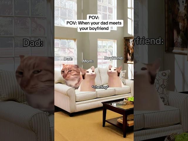 CAT MEMES When your dad meets your boyfriend #catmemes #relatable #relationship