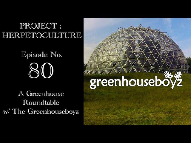 Project: Herpetoculture, Episode No. 80: A Greenhouse Roundtable w/ The Greenhouseboyz