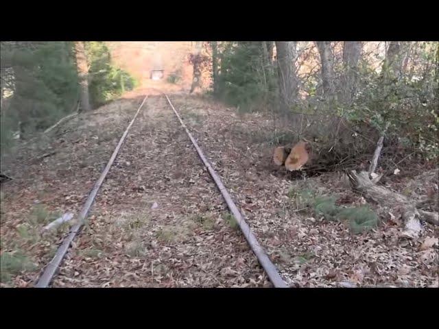 Dormant industrial rail line cleared of brush - Millis, MA - 12/2024