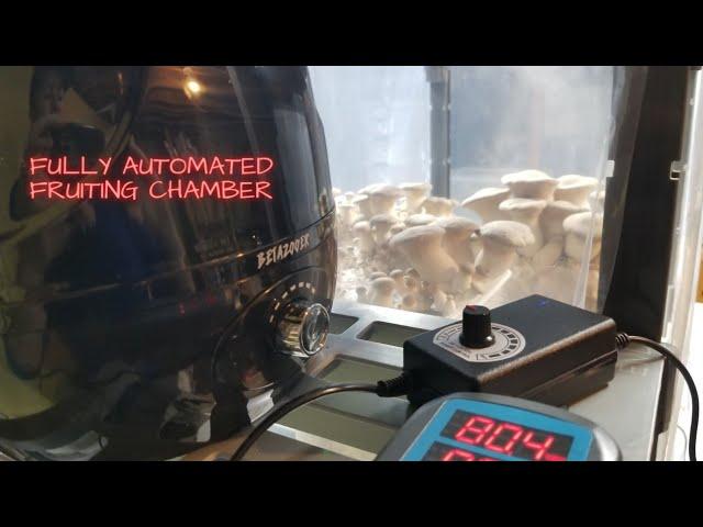 EZ AUTOMATED MUSHROOM FRUITING CHAMBER, DIY Build with Links