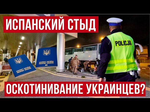 жесть! В Польше ехали украинки и вот что получилось!