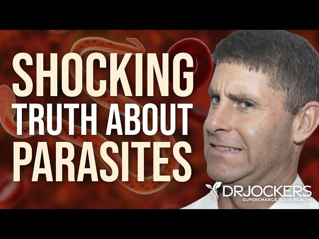 The Shocking Truth About Parasites and Your Gut!