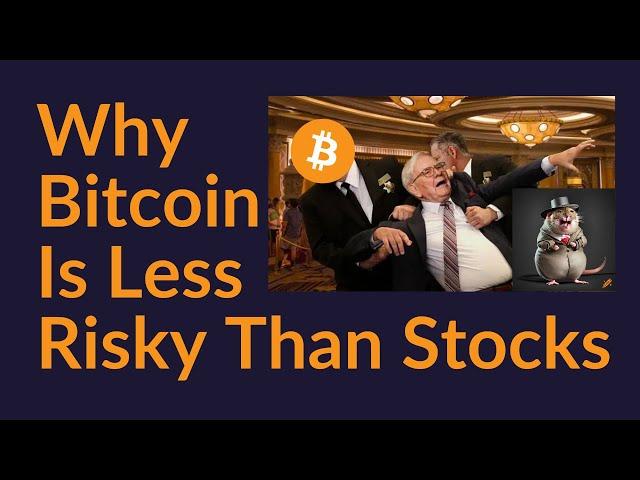 Why Bitcoin Is Less Risky Than Stocks