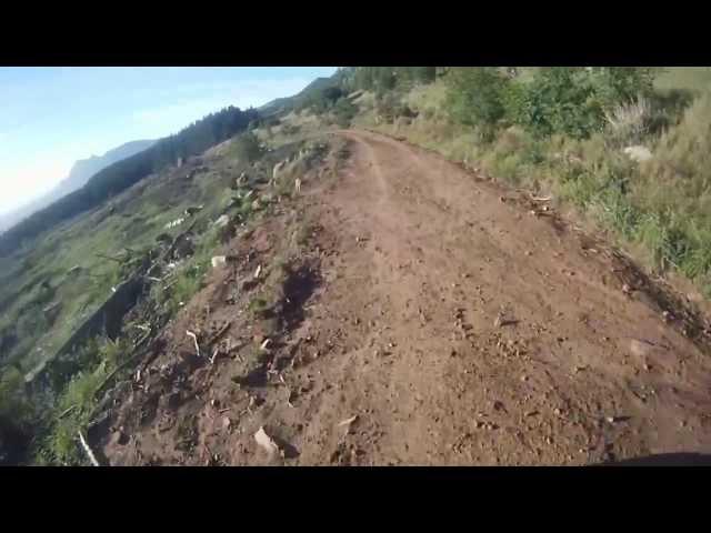 New Mamba Single Track | Tokai