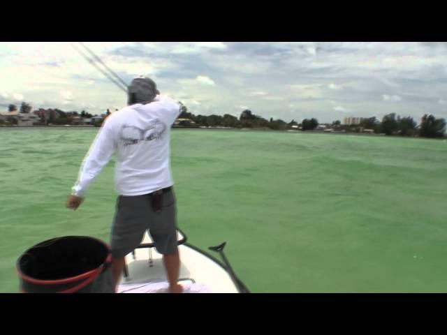 Fly Fishing for Tarpon