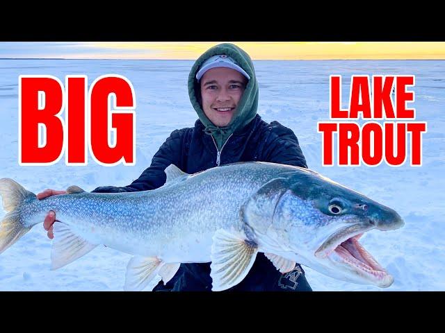 5 NIGHTS, 6 MASTERS!!! Ice Fishing for Big Lake Trout (Underwater Camera)