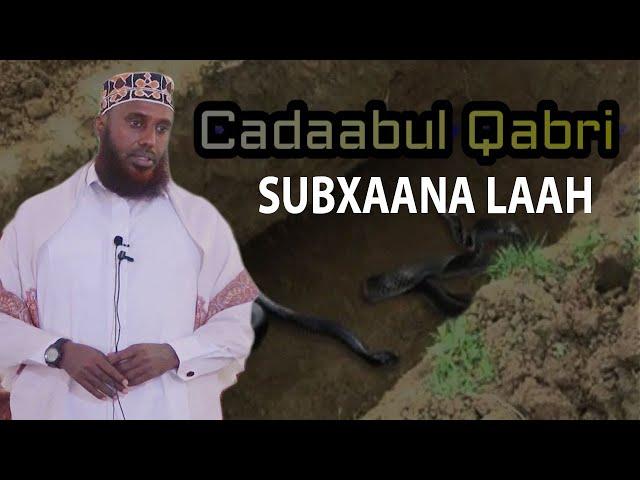 SUBXAANA LAAH | CADAABUL QABRIGA IYO DHIBKA YAALO QABRIGA || Sh Maxamed Macalin Abshir