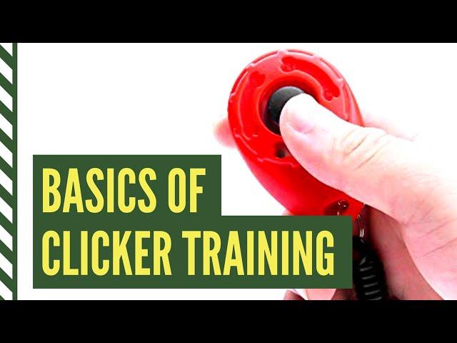 Clicker Training Basics: How to Introduce the Clicker for Dogs